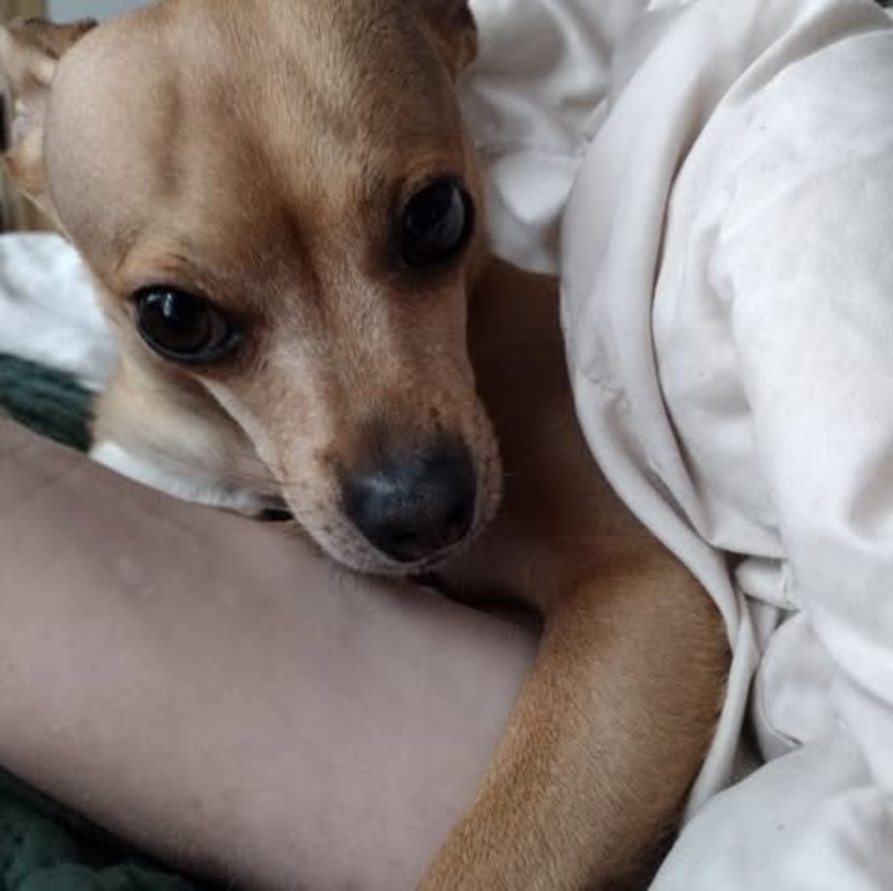 Meet your Posher, Meghan